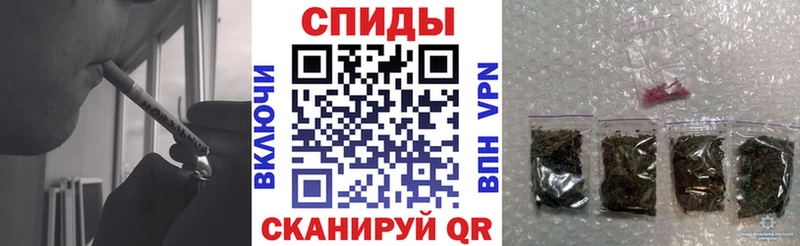 shop как зайти  Новозыбков  Бутират BDO  закладки  MEGA зеркало 