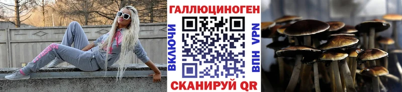 Галлюциногенные грибы прущие грибы  где купить   Новозыбков 