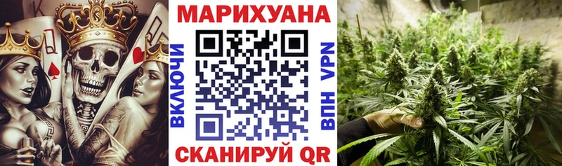 магазин продажи наркотиков  Новозыбков  MEGA зеркало  Бошки Шишки Amnesia 
